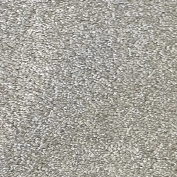 Airies Silver carpet sample